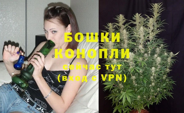 apvp Богданович