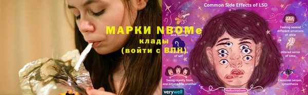 apvp Богданович