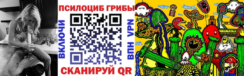 купить наркоту  omg tor  Галлюциногенные грибы Cubensis  Котовск 